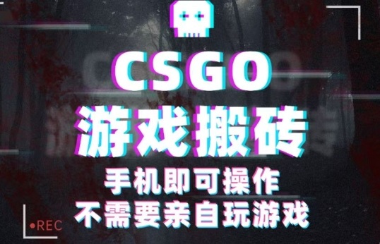 CSGO游戏挂G捡漏，单日扫货5张+，年底小高峰上车可吃肉，手机即可操作，兼职副业创业网创【揭秘】-68资源