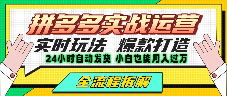 拼多多最新实战运营高投产：长久稳定项目，单店利润一天三位数-68资源