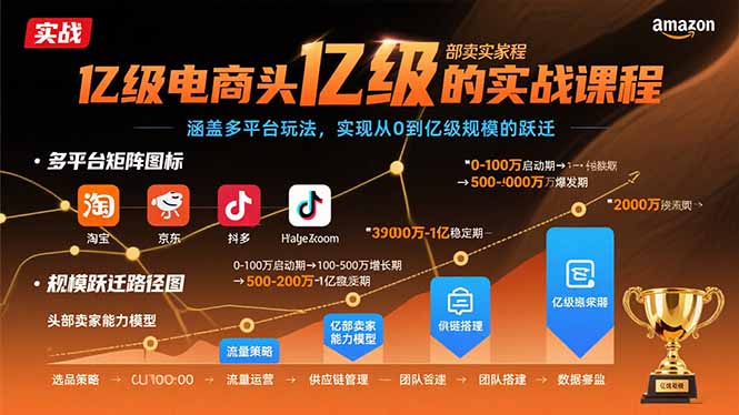 亿级电商头部卖家的实战课程：涵盖多平台玩法，实现从0到亿级规模的跃迁-68资源