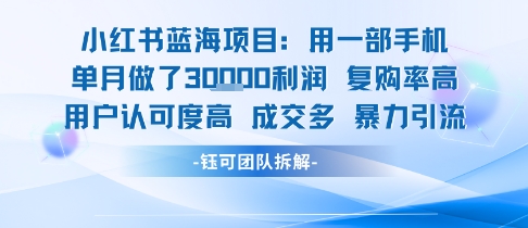 小红书蓝海项目，一部手机单月做了3W利润，小白也能月入过1W用户认可度高成交多-68资源