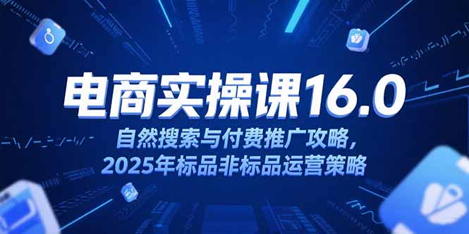 淘宝电商运营课16.0，自然搜索与付费推广攻略，2025年标品非标品运营策略-68资源