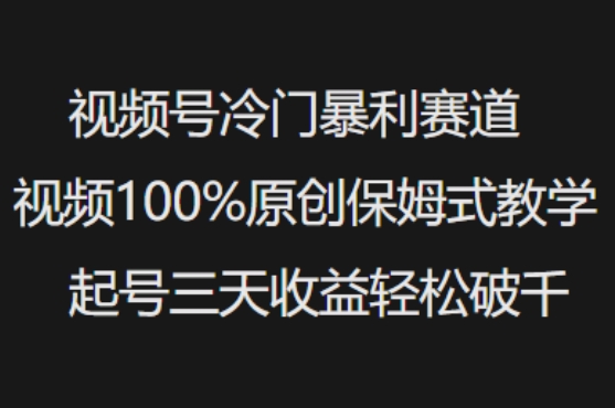 视频号冷门暴利赛道视频100%原创保姆式教学起号三天收益轻松破千-68资源