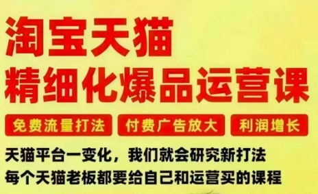 淘宝天猫精细化爆品运营课，免费流量打法-付费广告放大-利润增长-三大核心痛点，一次全部解决-68资源