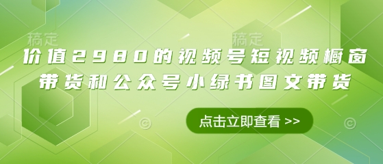 价值2980的视频号短视频橱窗带货和公众号小绿书图文带货-68资源