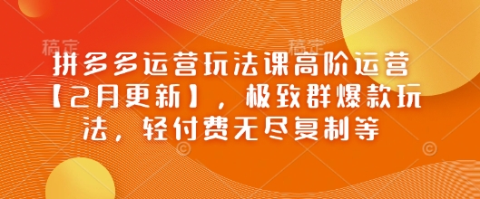 拼多多运营玩法课高阶运营【2月更新】，极致群爆款玩法，轻付费无尽复制等-68资源