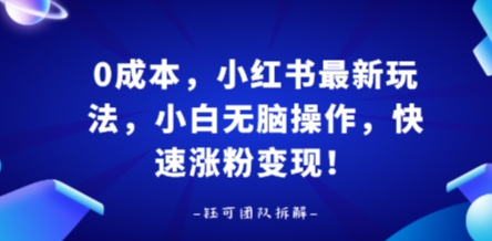 0成本，小红书最新玩法，小白无脑操作，快速涨粉变现-68资源