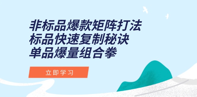 非标品爆款矩阵打法，标品快速复制秘诀，单品爆量组合拳-68资源
