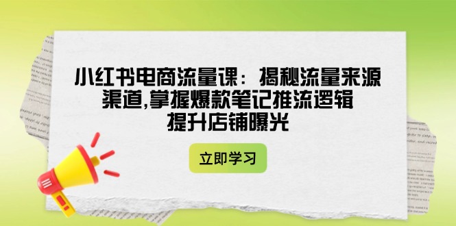 （14318期）小红书电商流量课：揭秘流量来源渠道,掌握爆款笔记推流逻辑,提升店铺曝光-68资源