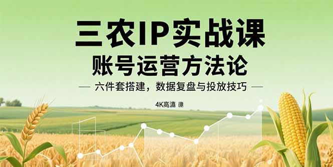 三农IP实战课：账号运营方法论，六件套搭建，数据复盘与投放技巧-68资源