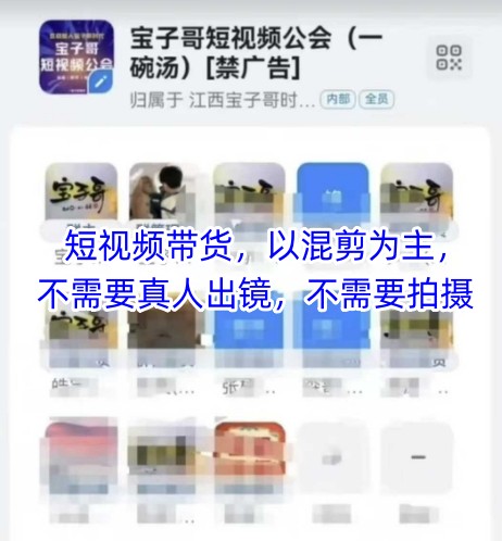 宝子哥头部团队短视频带货，以混剪为主，不需要真人出镜，不需要拍摄【更新9月】-68资源