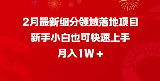 2月最新细分领域落地项目，新手小白也可快速上手，月入1W-68资源