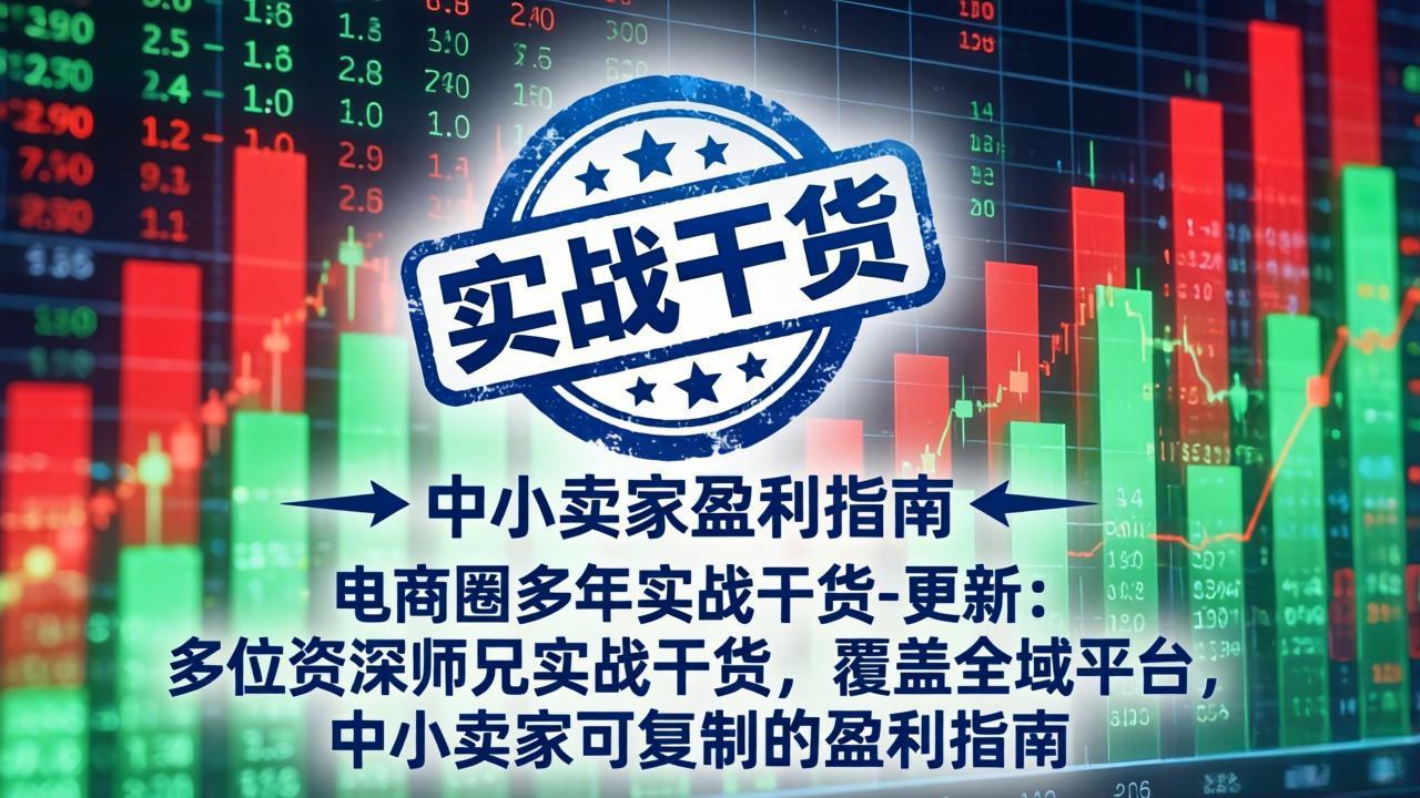 电商圈多年实战干货-更新4月：多位资深师兄实战干货，覆盖全域平台，中小卖家可复制的盈利指南-68资源