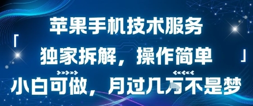 苹果手机技术服务，独家拆解，操作简单，小白可做，月过1W不是梦-68资源