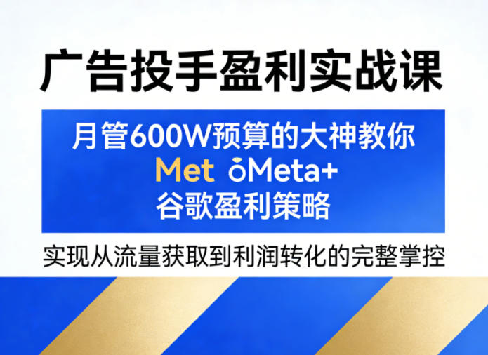 广告投手盈利实战课，月管600W预算的大神教你Meta+谷歌盈利策略，实现从流量获取到利润转化的完整掌控-68资源