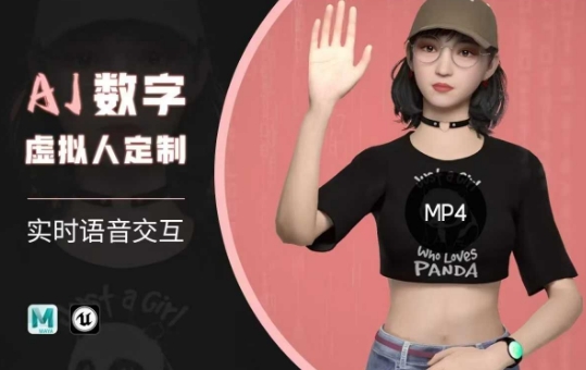 Ai数字人虚拟(智能体)实时语音交互特训营，​自行定制超写实角色AI数字人交互技术-68资源