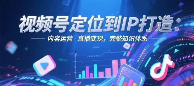 视频号定位到IP打造：账号搭建-内容运营-直播变现，完整知识体系-68资源