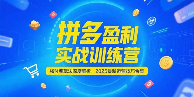 拼多多盈利实战训练营，强付费玩法深度解析，2025运营技巧合集-更新6月-68资源
