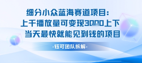 小众蓝海赛道项目：当天变现1k+适合新手操作 +适合长期玩-68资源