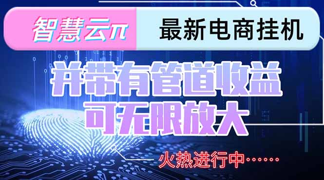 智慧云π电脑挂机单机每天收益300—500+ 并带有团队管道收益 可无限放大-68资源