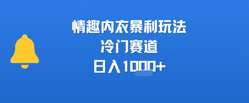 情趣内衣暴利玩法，冷门赛道，日入1k+-68资源