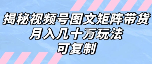 解密视频号图文矩阵带货，月入几个W的打法，可复制-68资源