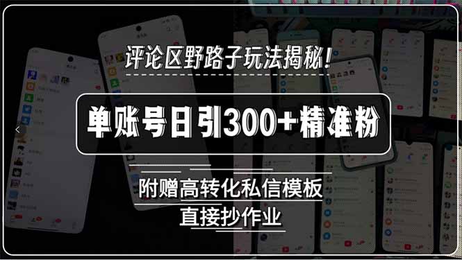 评论区野路子玩法揭秘！单账号日引300+精准粉，附赠高转化私信模板，直...-68资源