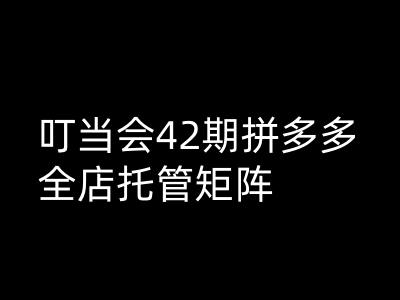 叮当会拼多多打爆班原创高阶技术第42期，拼多多全店托管矩阵-68资源