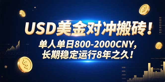 USD美金对冲搬砖!单人单日800-2000CNY，长期稳定运行8年之久!-68资源